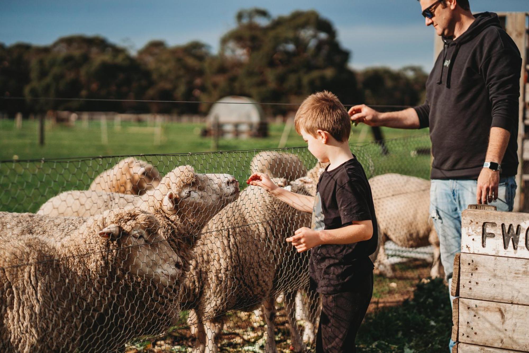 Freshwater Creek Cottages & Farm Stay Torquay Luaran gambar