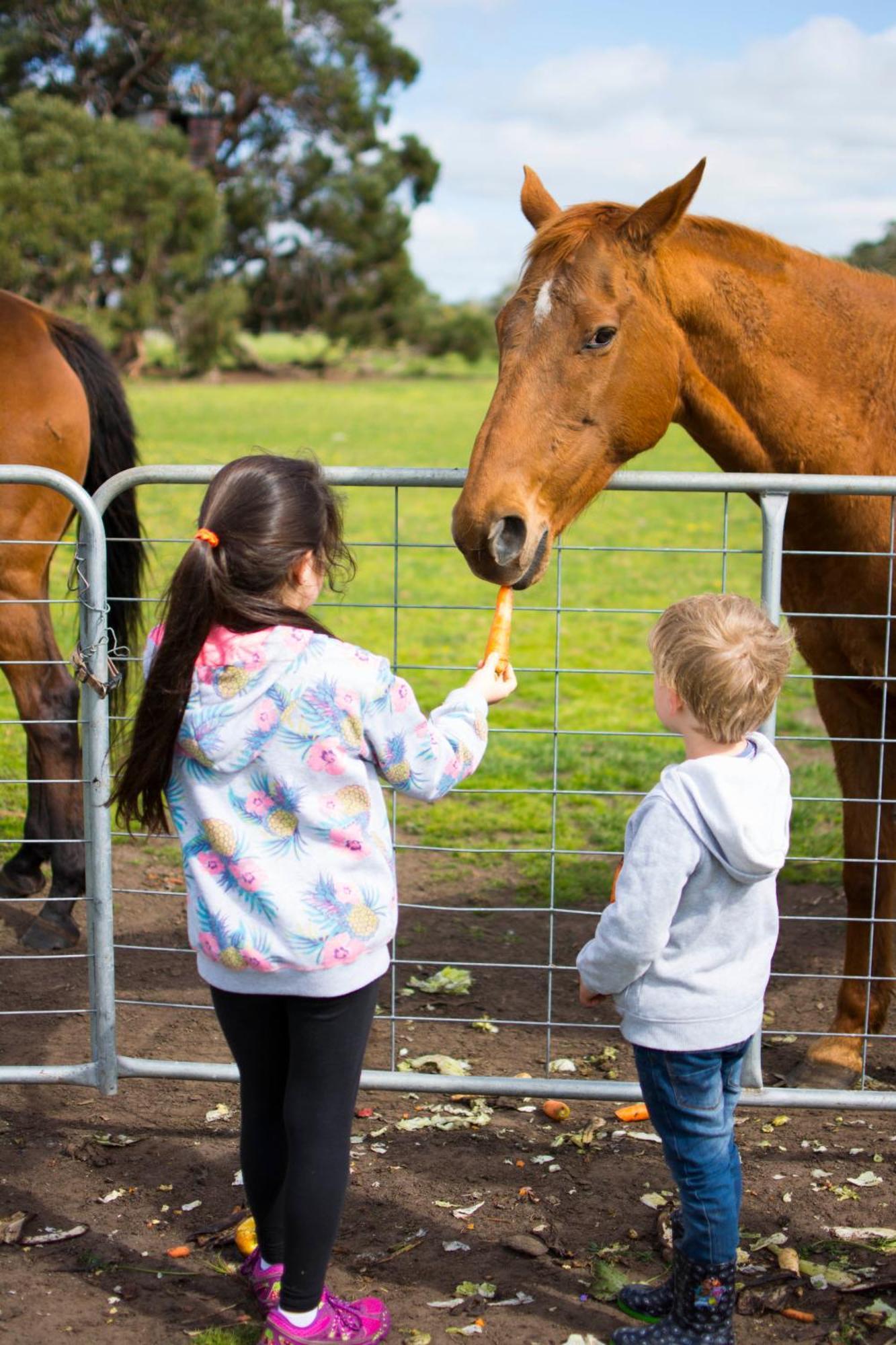 Freshwater Creek Cottages & Farm Stay Torquay Luaran gambar