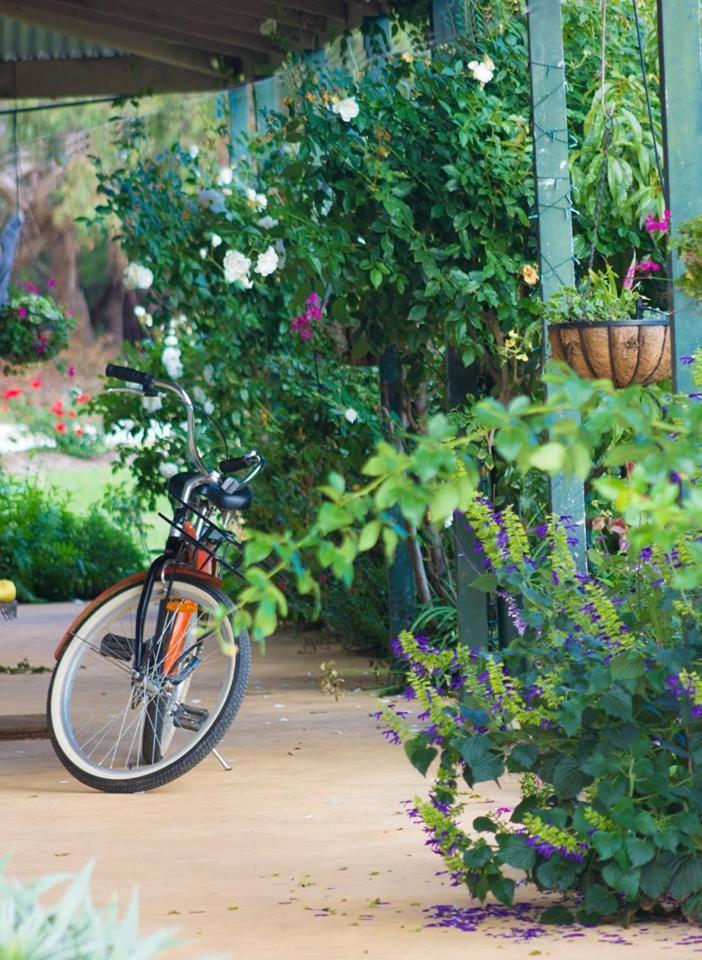 Freshwater Creek Cottages & Farm Stay Torquay Luaran gambar