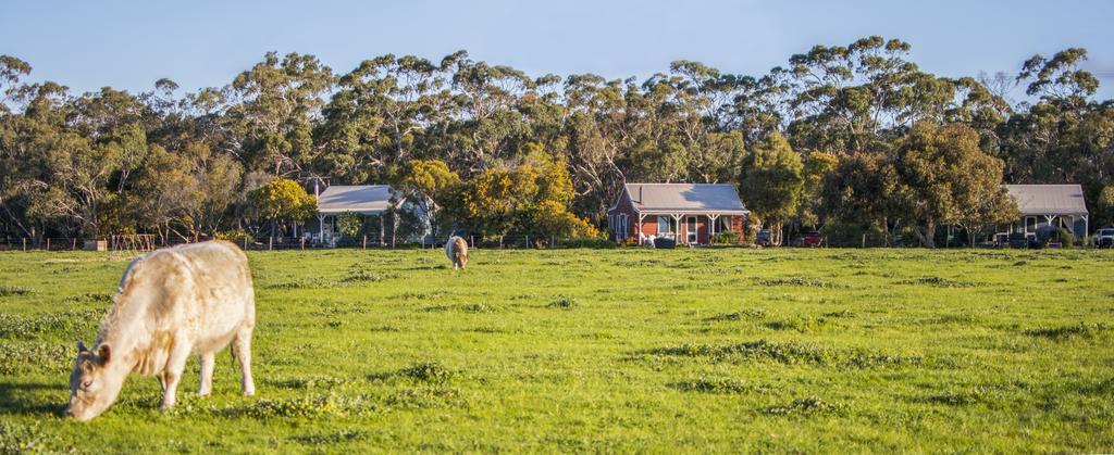 Freshwater Creek Cottages & Farm Stay Torquay Luaran gambar