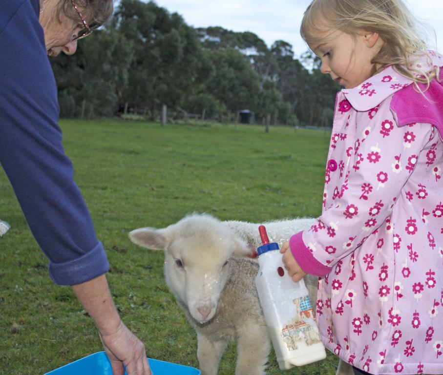 Freshwater Creek Cottages & Farm Stay Torquay Luaran gambar